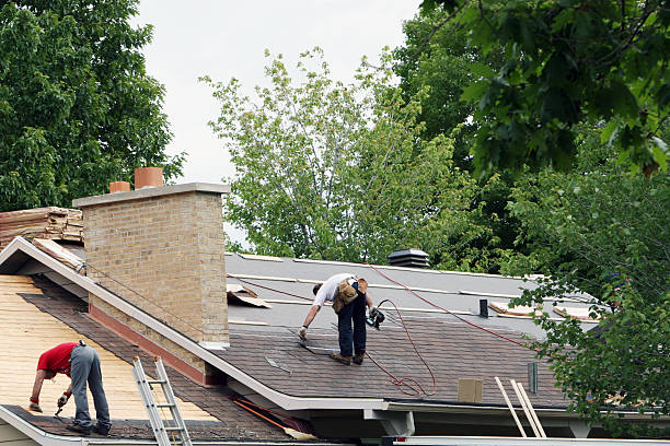Best Chimney Flashing Repair  in Fruitland, NC